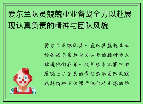 爱尔兰队员兢兢业业备战全力以赴展现认真负责的精神与团队风貌
