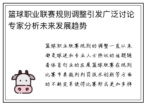 篮球职业联赛规则调整引发广泛讨论专家分析未来发展趋势